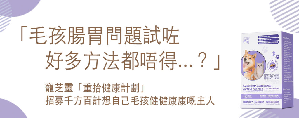 寵芝靈