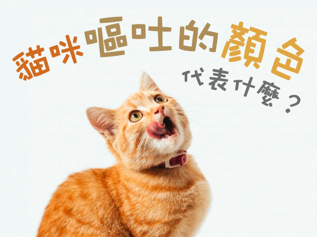 【毛孩知識】貓咪嘔吐的顏色代表什麼？