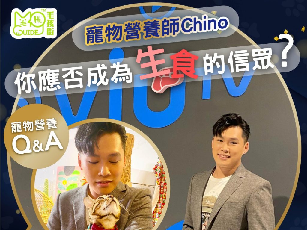 【毛孩街 X 寵物營養頻道 Chino Lui】