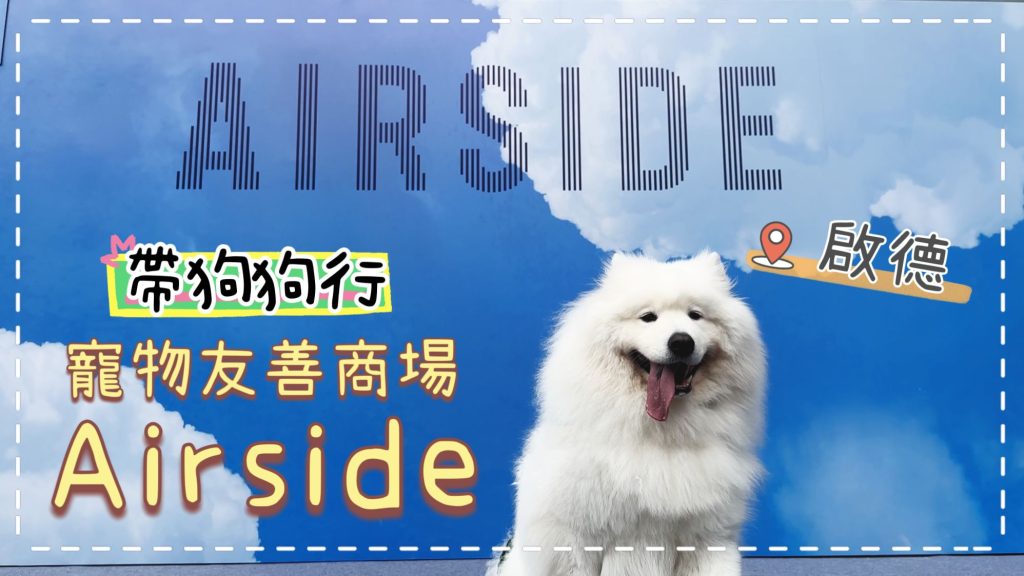 帶狗狗行啟德寵物友善商場Airside✈️✈️，介紹餐廳、打卡位和寵物店｜西摩Tako｜