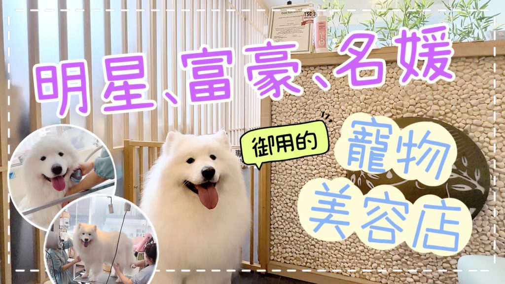 體驗明星、富豪、名媛御用的日式SPA寵物美容店，有日藉寵物美容師｜西摩Tako｜