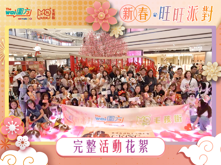 <毛孩街> X The wai 【🧧新春旺旺派對🐶】
